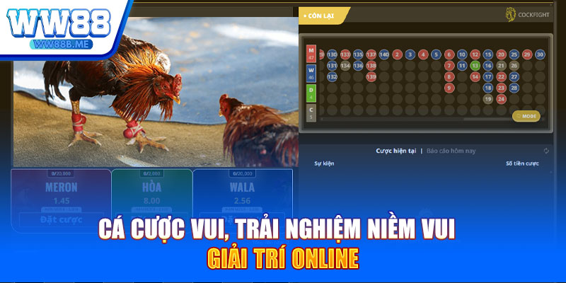 Cá cược vui, trải nghiệm niềm vui giải trí online