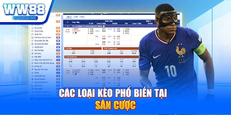 Tìm hiểu về loại kèo phổ biến tại sân cược